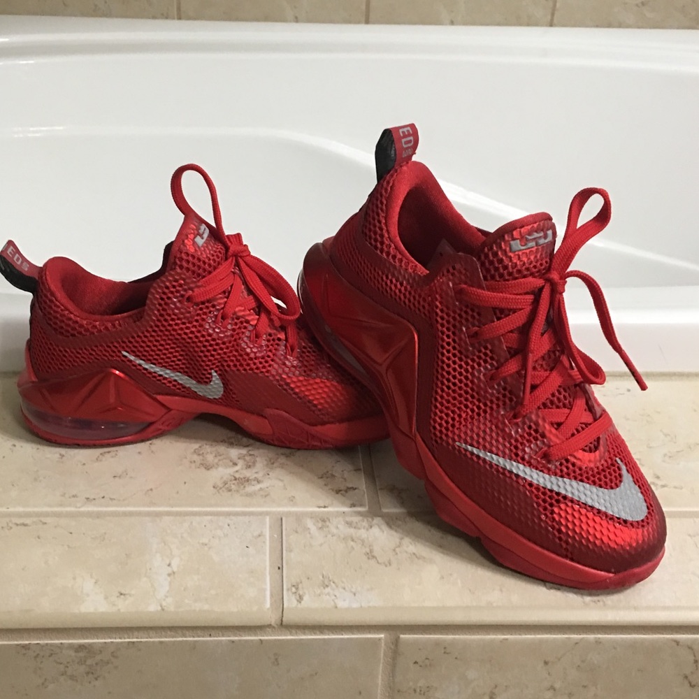 Nike Lebrons James 12 Low